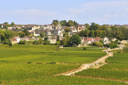 France, Monthélie