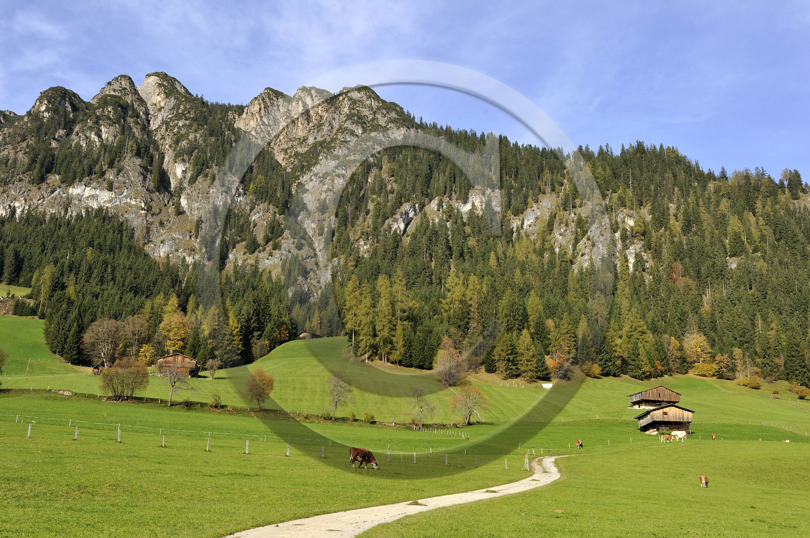 Autriche, Tyrol