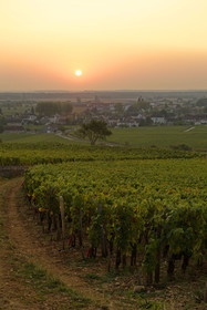 France, Vougeot