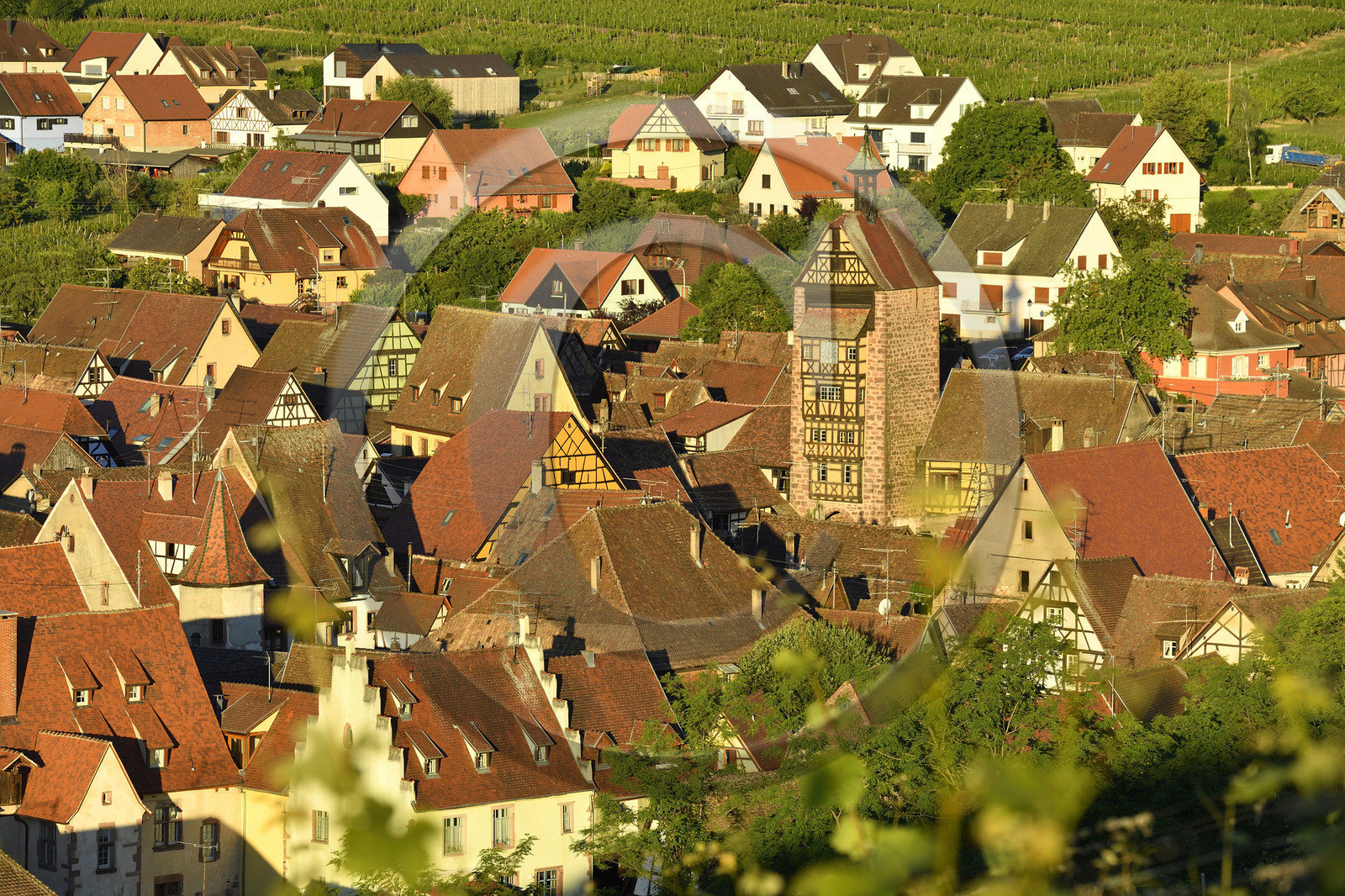 France, Riquewihr