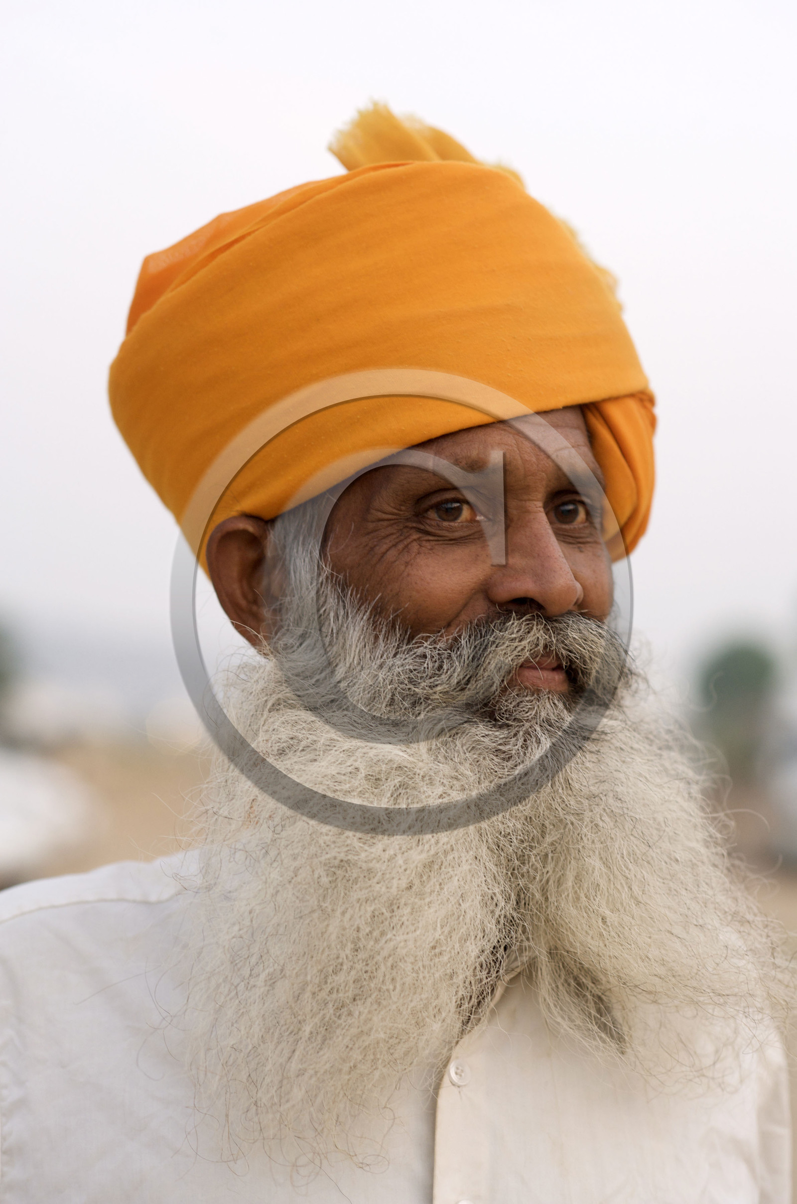 Inde, Pushkar