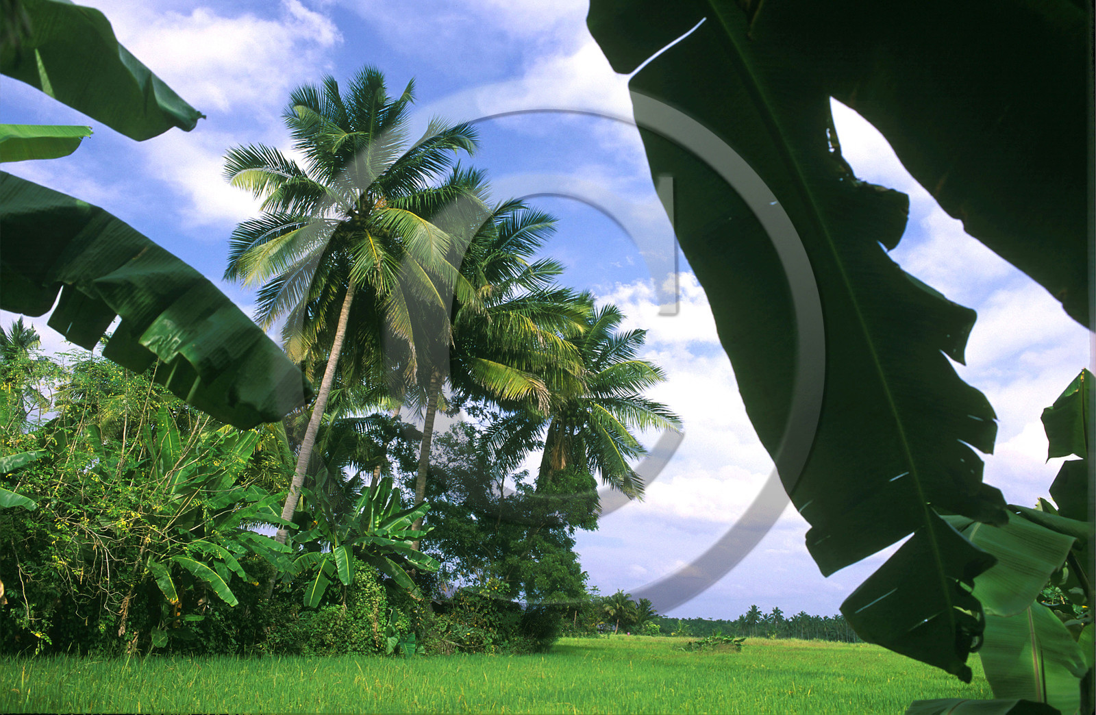 SRI LANKA