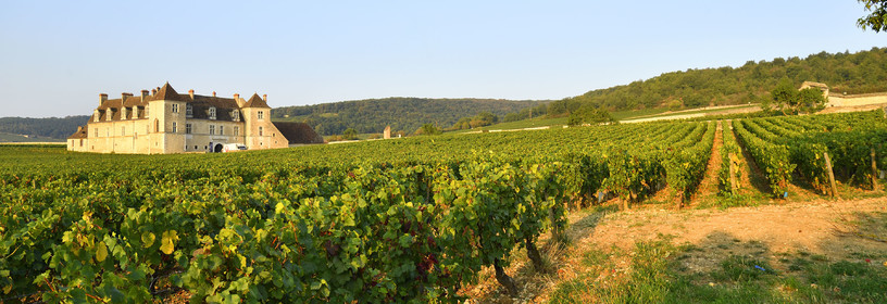 France, Vougeot