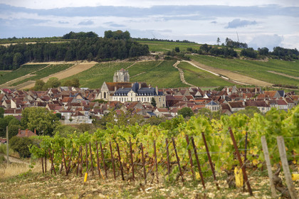 France, Auxerre