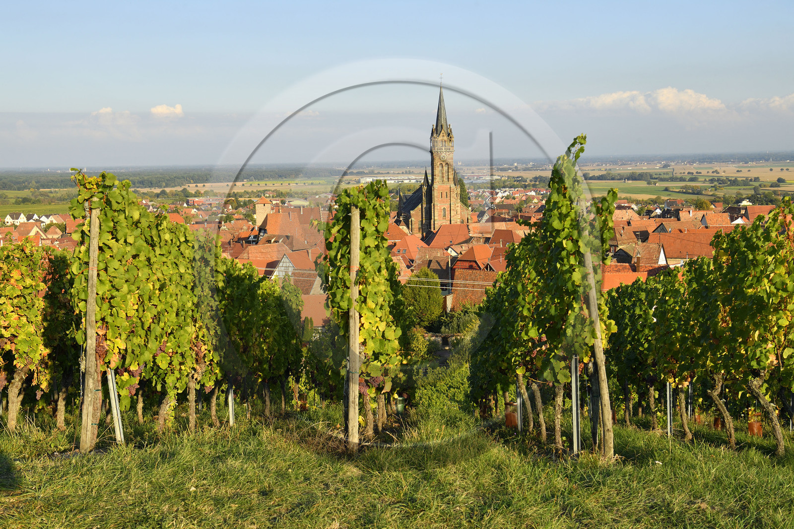 France, Dambach la Ville