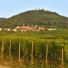 France, Husseren
