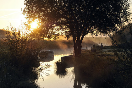 France, Briere