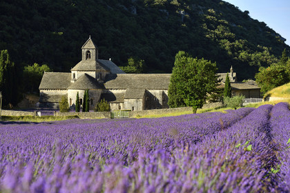 France, Senanque