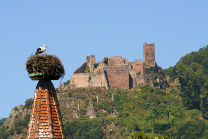 France,  Ribeauville