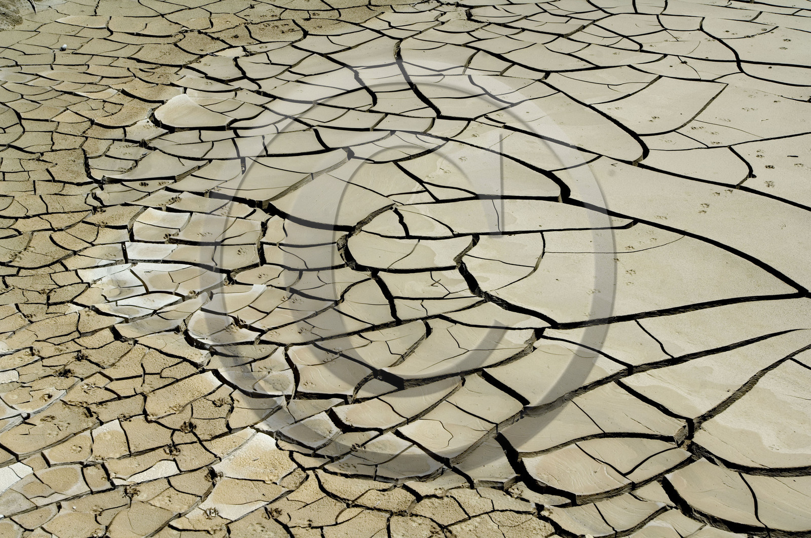 REGION DE LA MER MORTE. JORDANIE