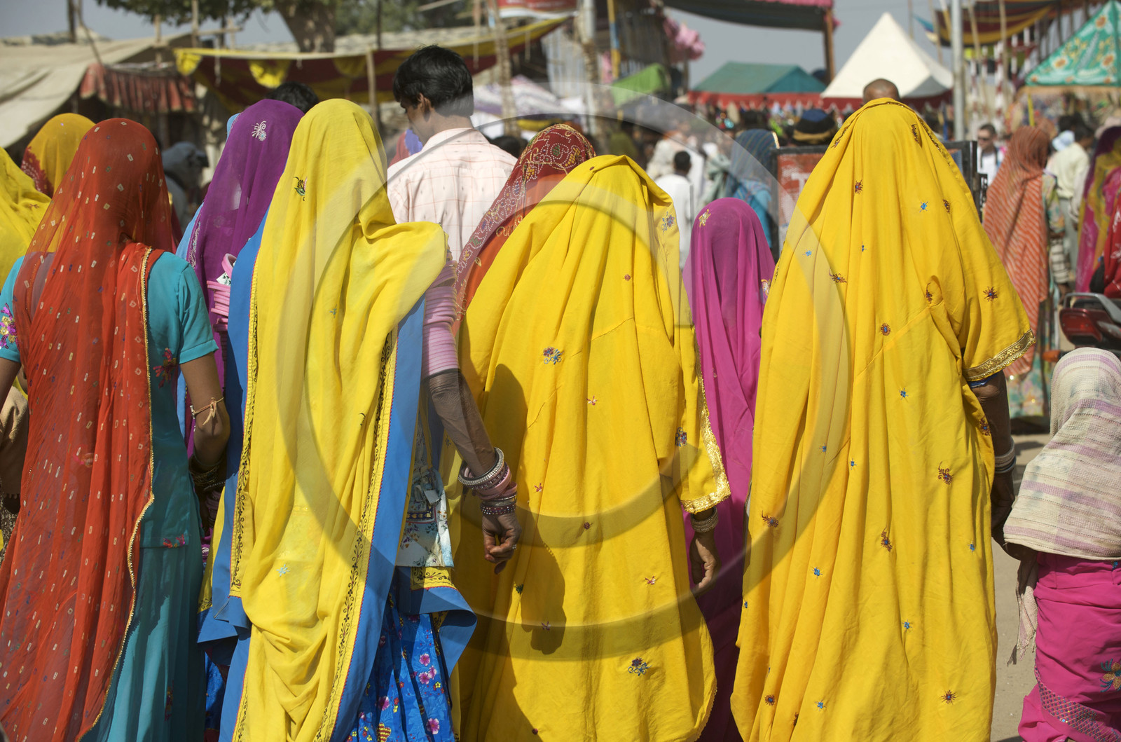 Inde, Pushkar