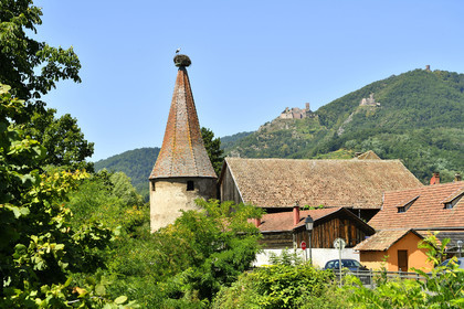 France,  Ribeauville