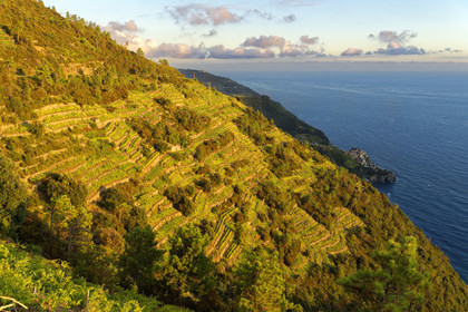 Italie, Cinque Terre