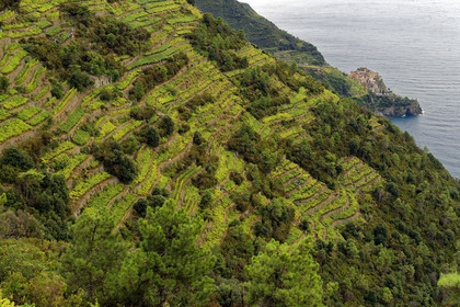 Italie, Cinque Terre