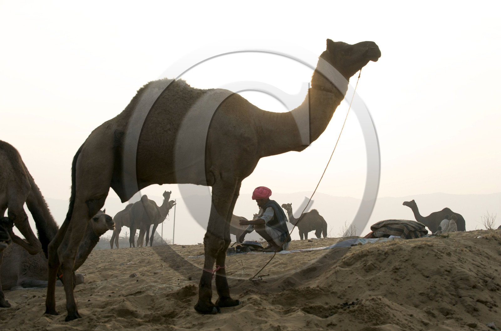 Inde, Pushkar