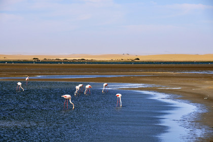 Namibie, Walvis Bay