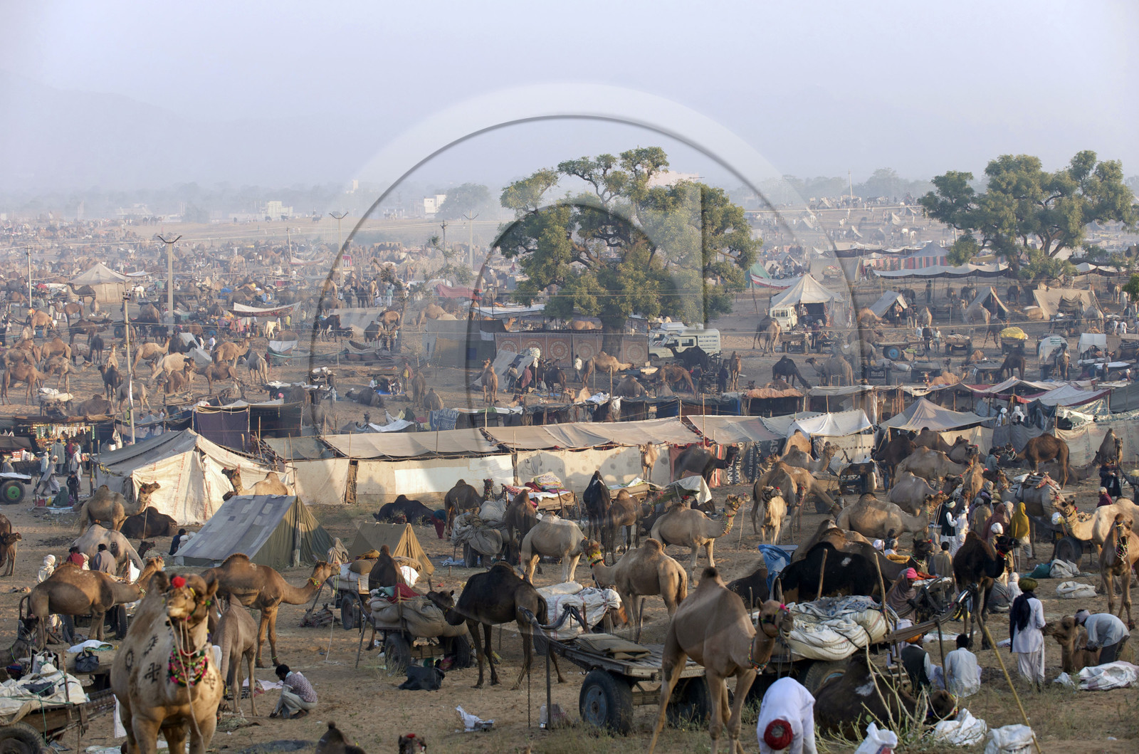 Inde, Pushkar