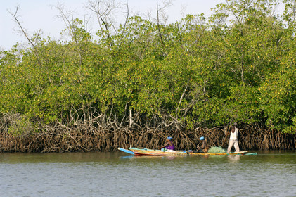 Saloum, Sénégal