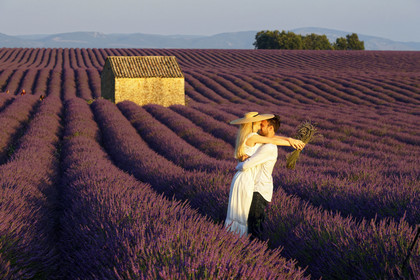 France, Valensole