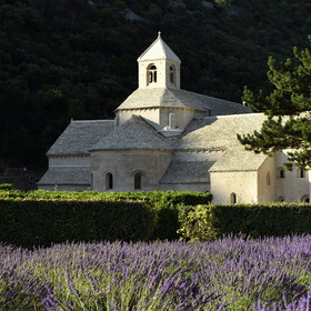 France, Senanque