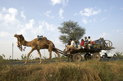 Inde, Gujarat