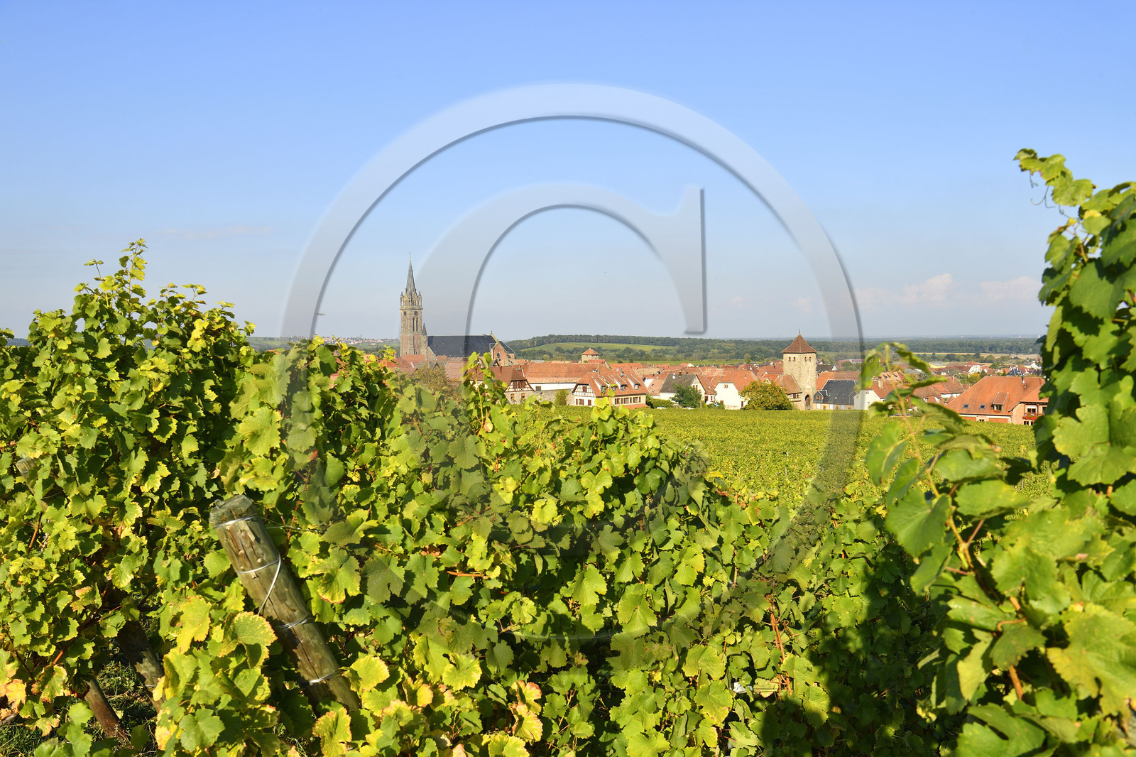 France, Dambach la Ville