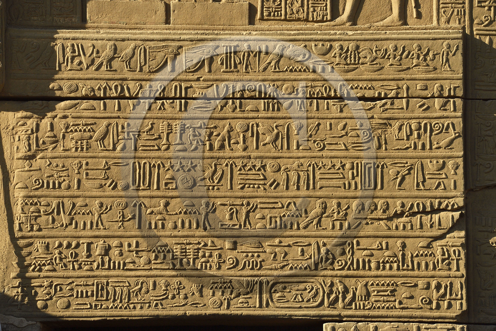 Egypte, Kom Ombo