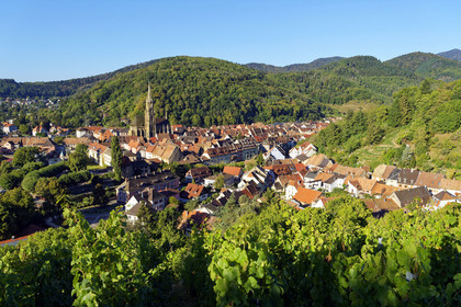France, Thann