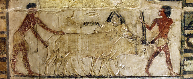 Egypte, Saqqarah