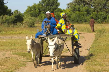 Marché de Gueguenne, Sénégal