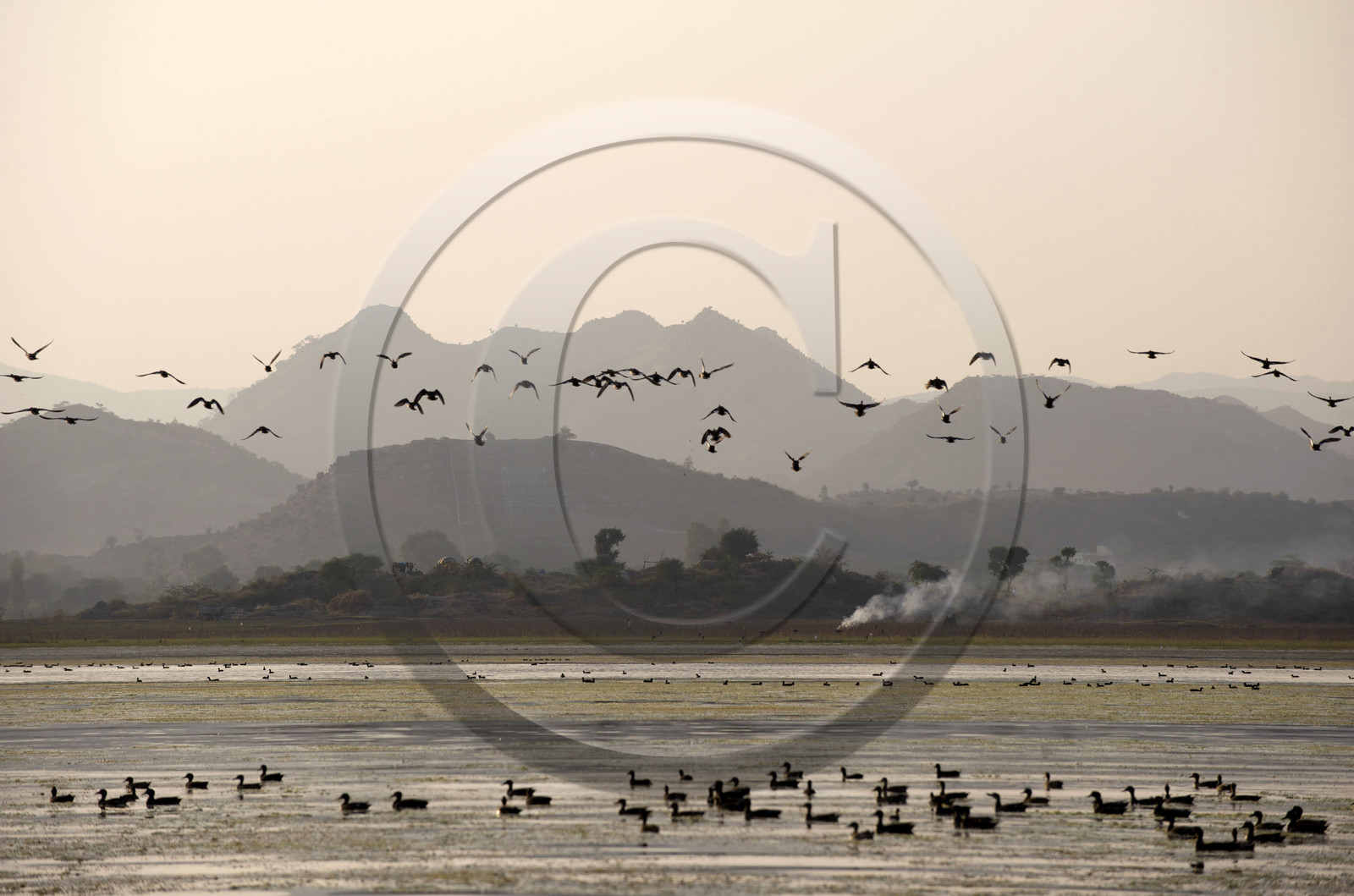 Inde, Udaipur