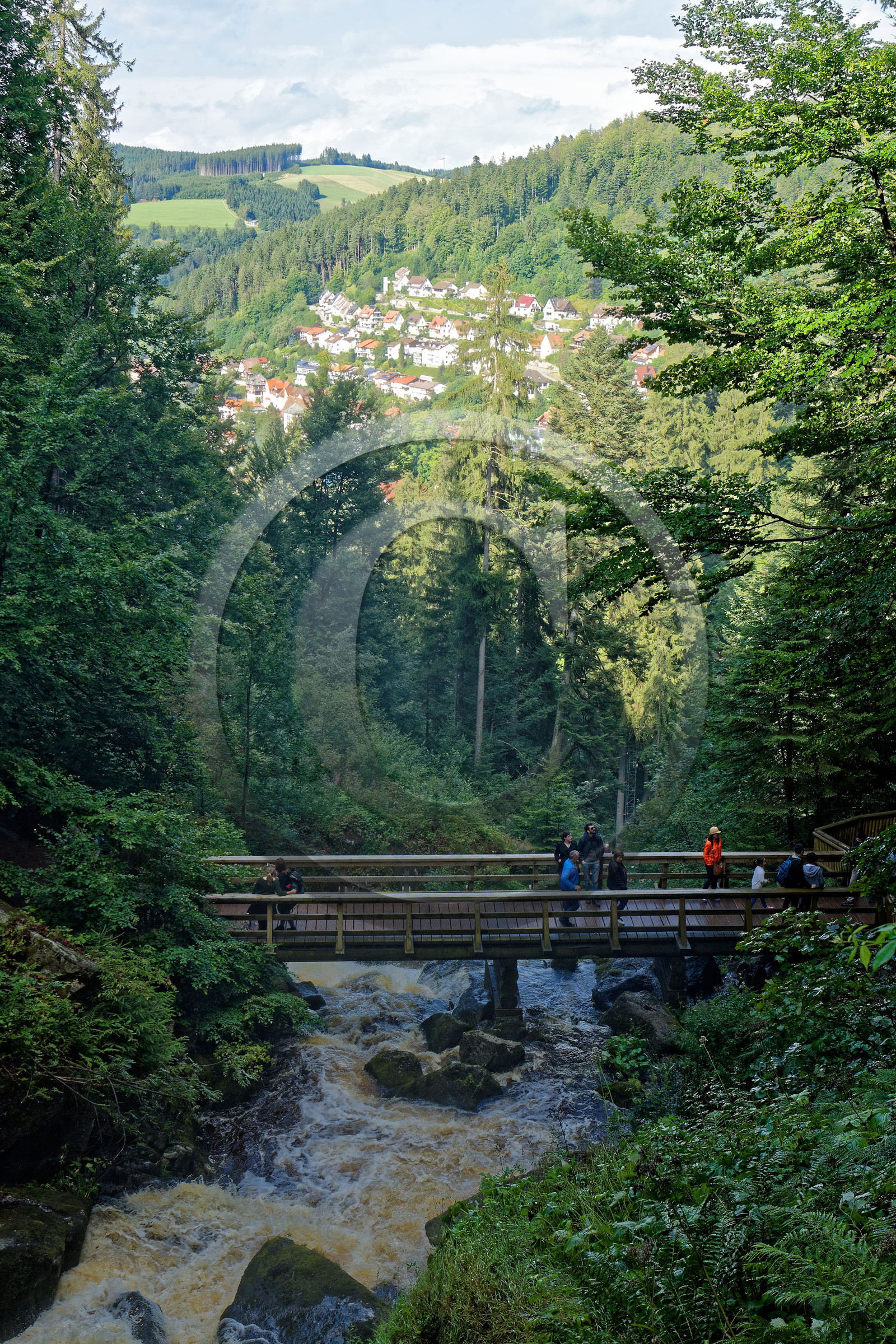 Allemagne, Triberg
