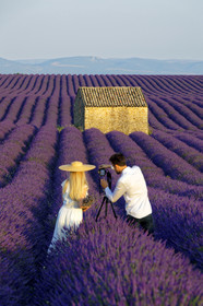 France, Valensole