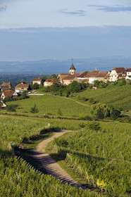 France, Zellenberg