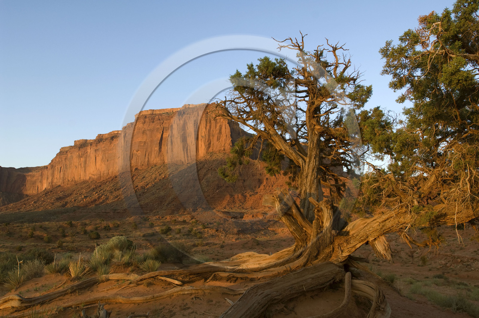 USA, MONUMENT VALLEY