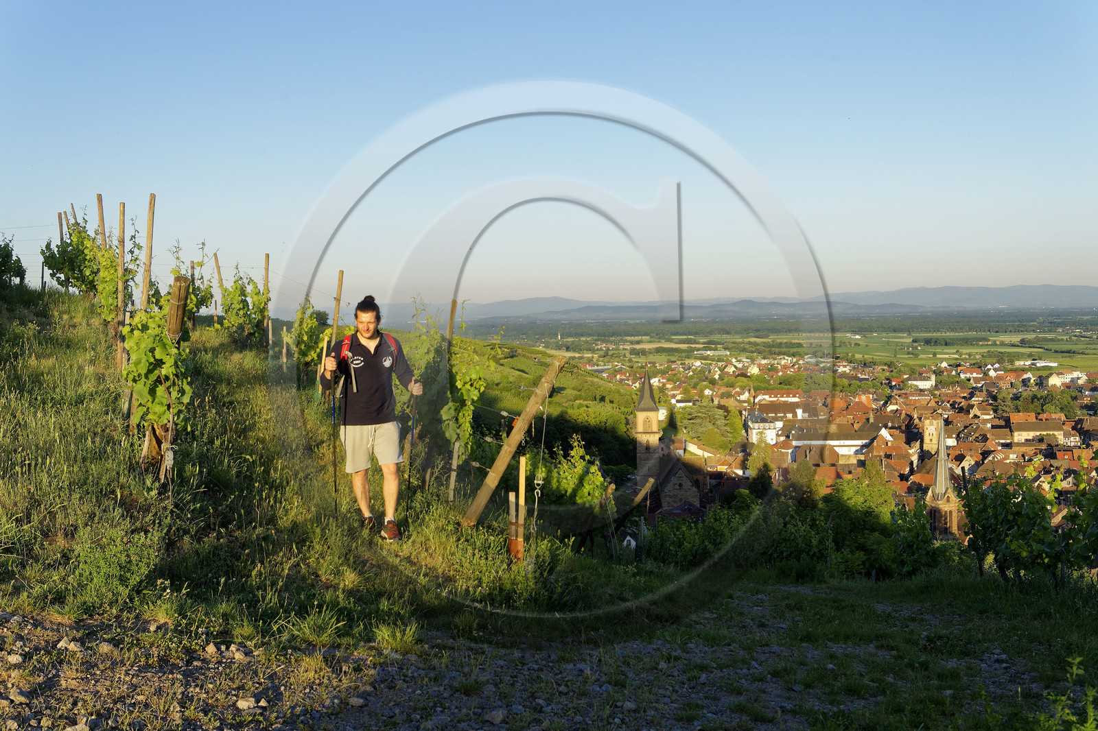 France, Ribeauville