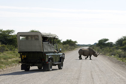 Namibie, Etosha