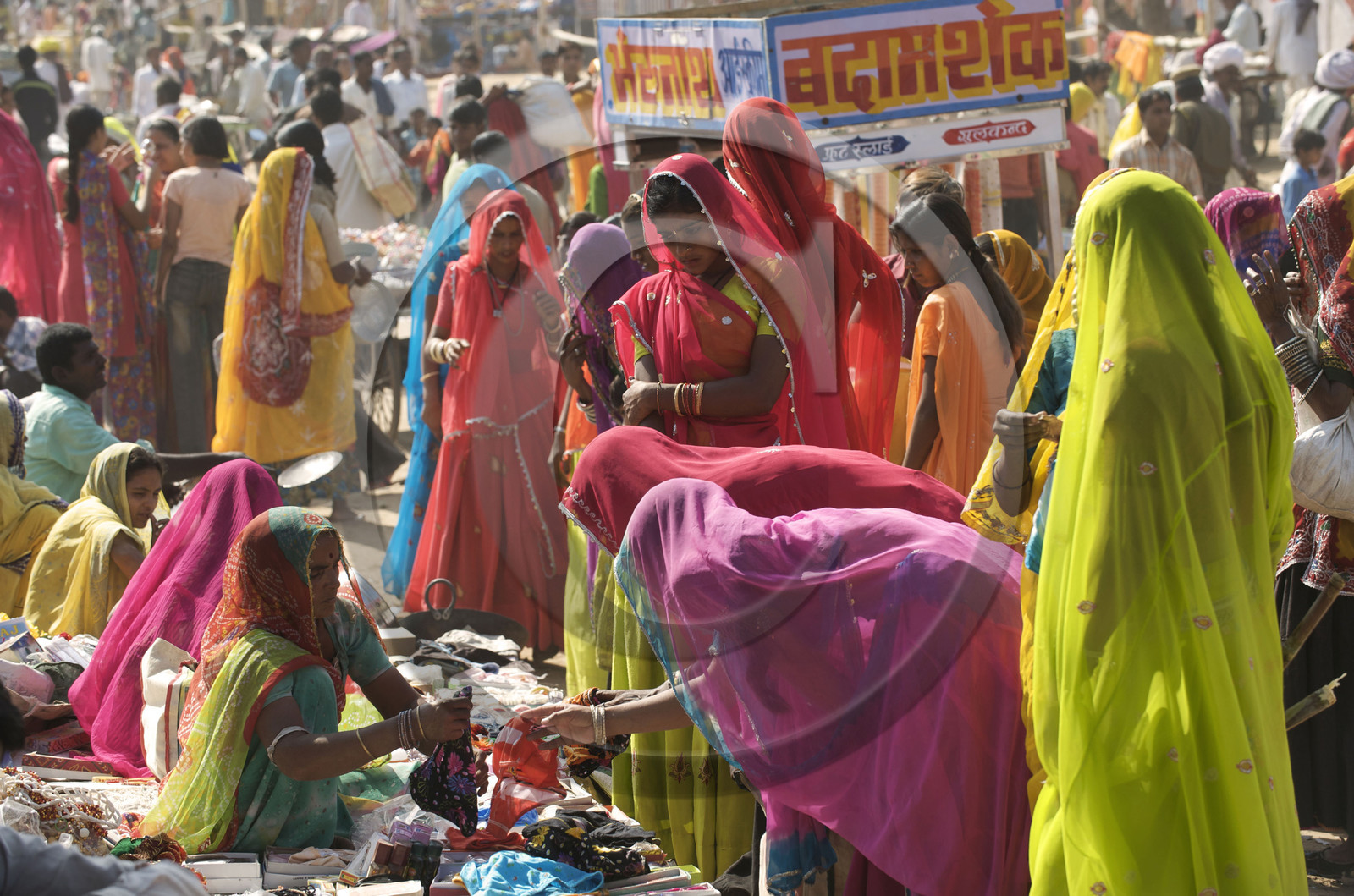 Inde, Pushkar