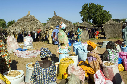 Marché de Gueguenne, Sénégal