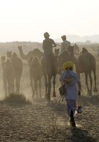 Inde, Pushkar