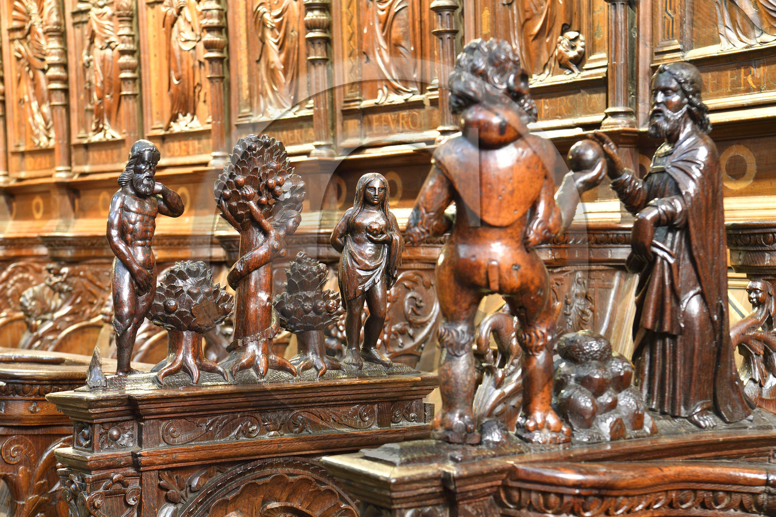 France france haute garonne saint bertrand comminges