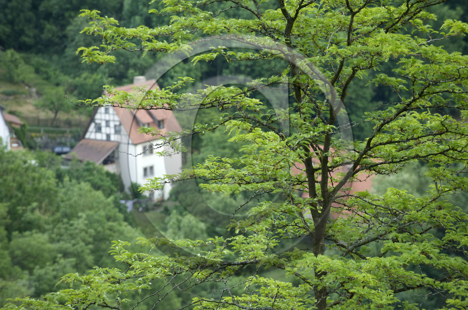 Allemagne, Rothenburg
