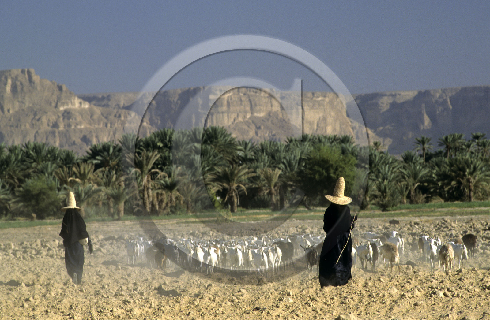 HADRAMAOUT, YEMEN