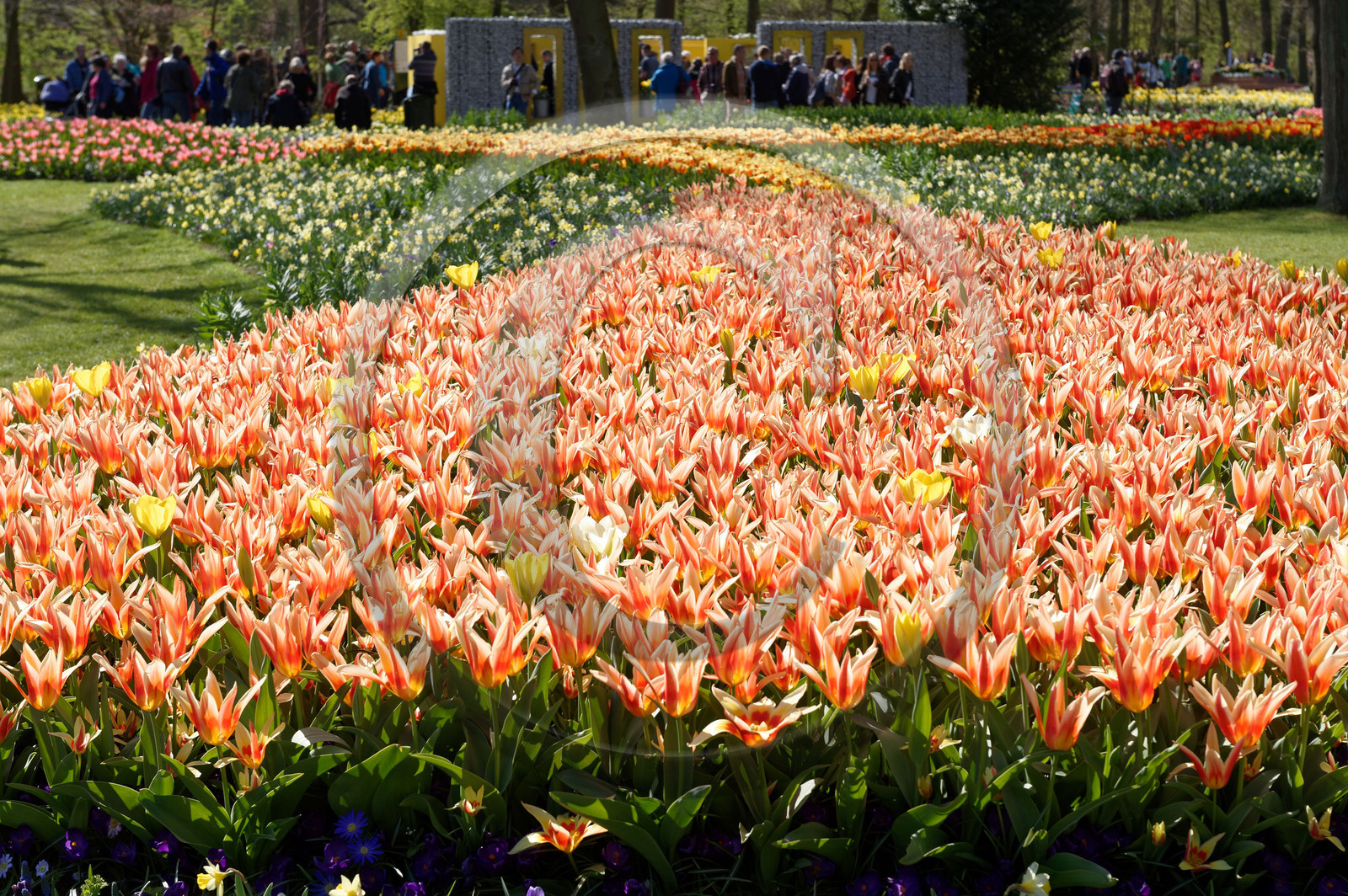 Hollande, Keukenhof