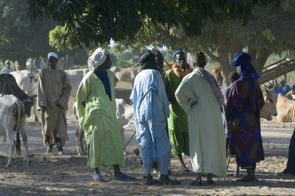 Marché de Gueguenne, Sénégal