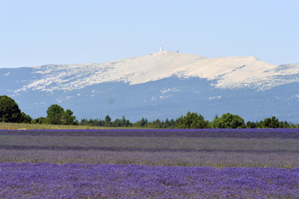 France, Sault