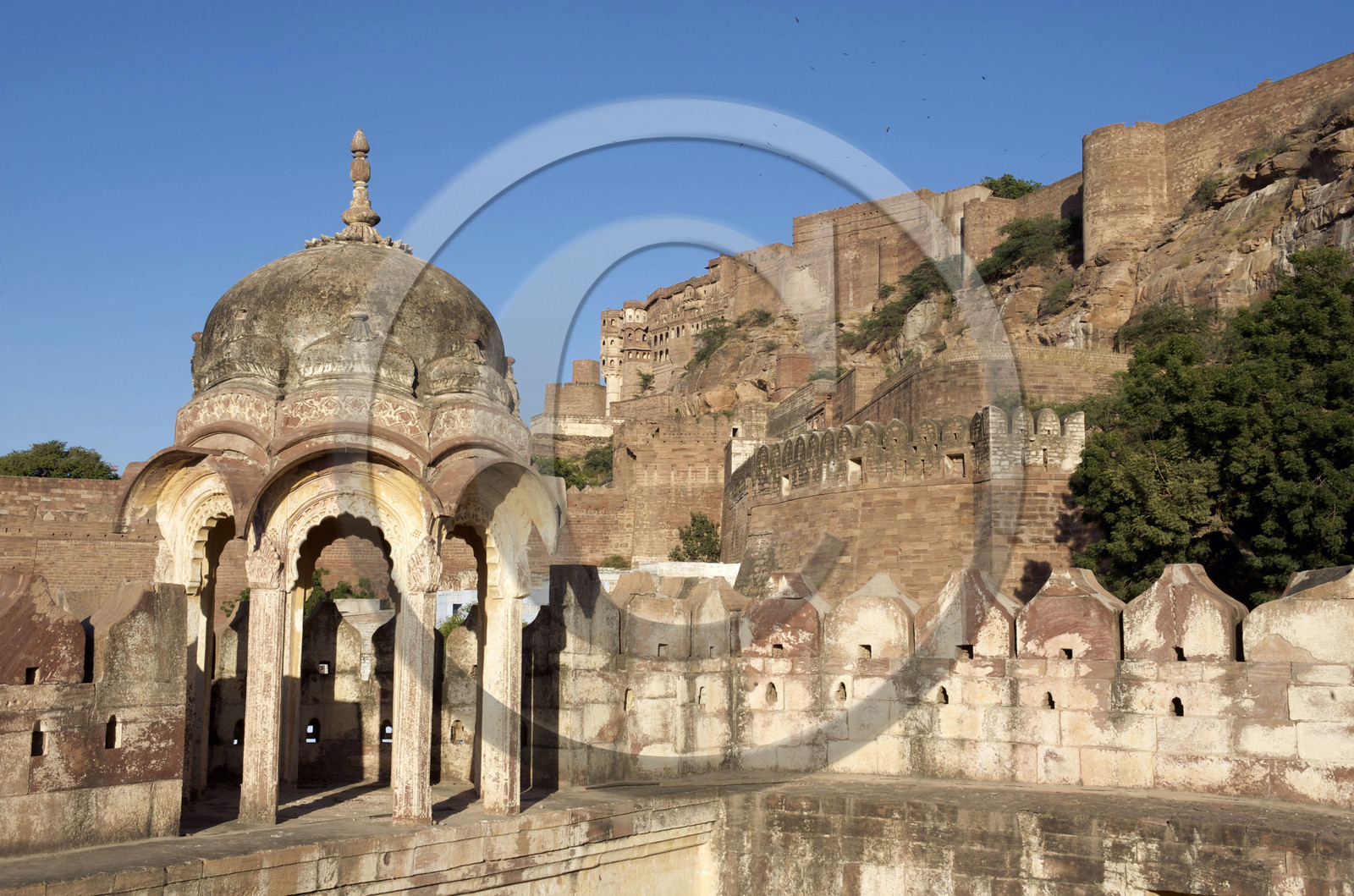 Inde, Jodhpur
