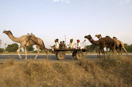 Inde, Gujarat