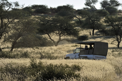 Namibie, Kalahari