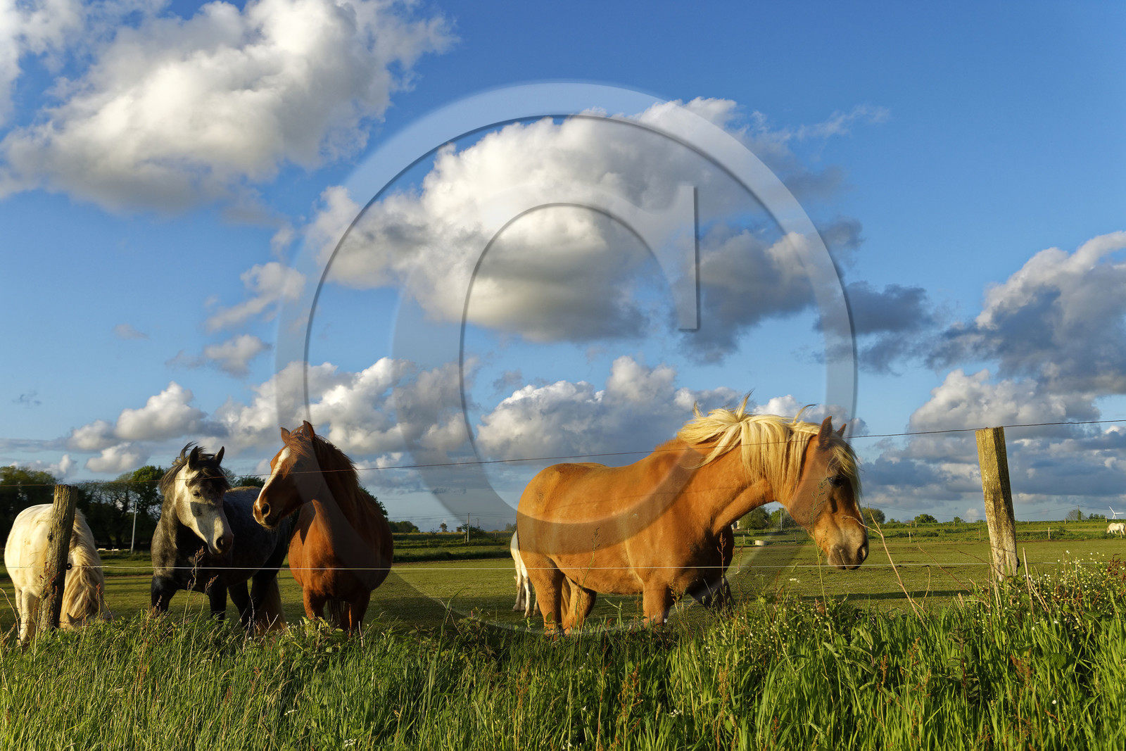 France, St Thegonnec